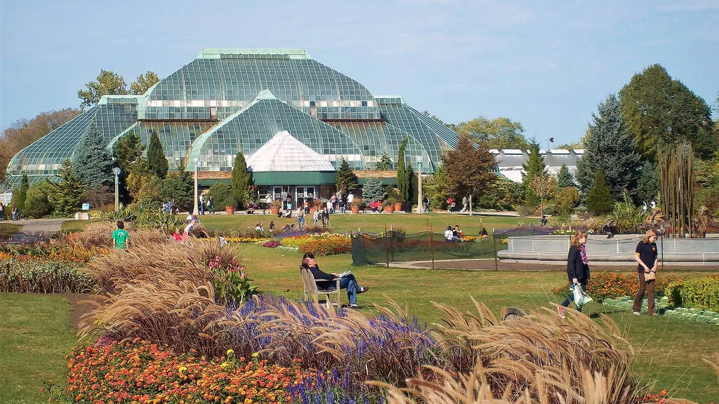 Healthcare Solutions